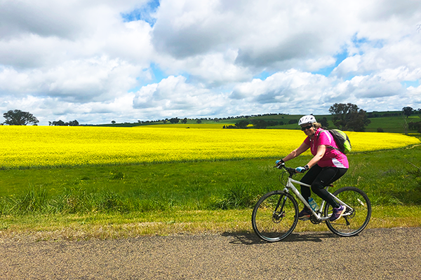 Female bike rider cycling pass a field of canola near Orange
