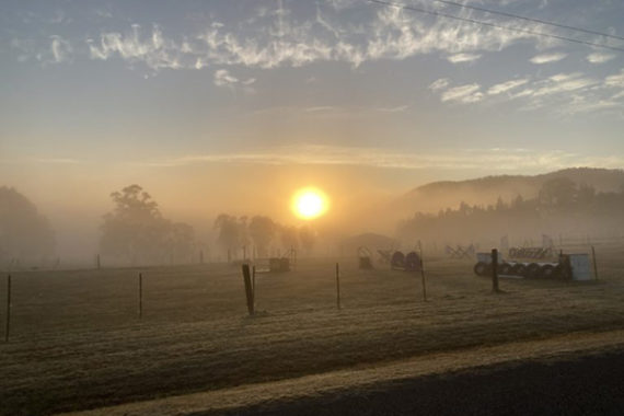 Sunrise in regional NSW