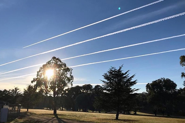 Jet streams in the early morning. Photo Andrew Hopper