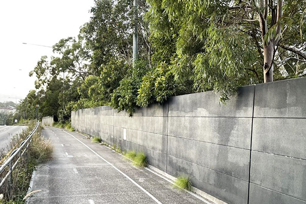 This path alternates between shared path sections and other sections with two bike lanes and one pedestrian lane (Photo credit: Graham Marshall)  